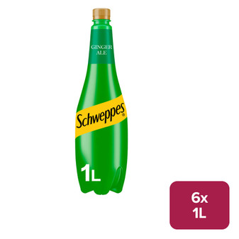 Schweppes Canada Dry Ginger Ale 6 x 1ltr PET - 52180050_B.jpg