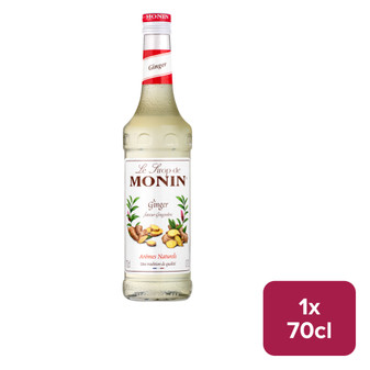 Monin Ginger Syrup 70cl - 36261077_B.jpg