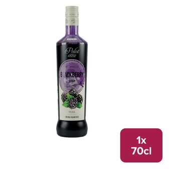 Polot 1882 Blackberry Syrup 70cl NRB - 50006414_B.jpg