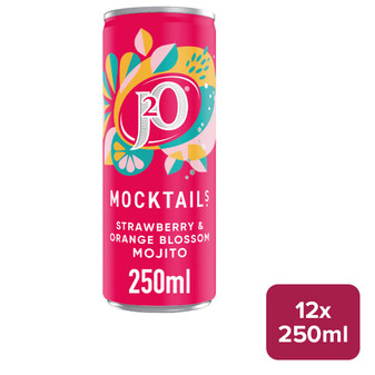 J2O Strawberry Orange Blossom Mojito 12 x 250ml Can - 51420421_B.jpg