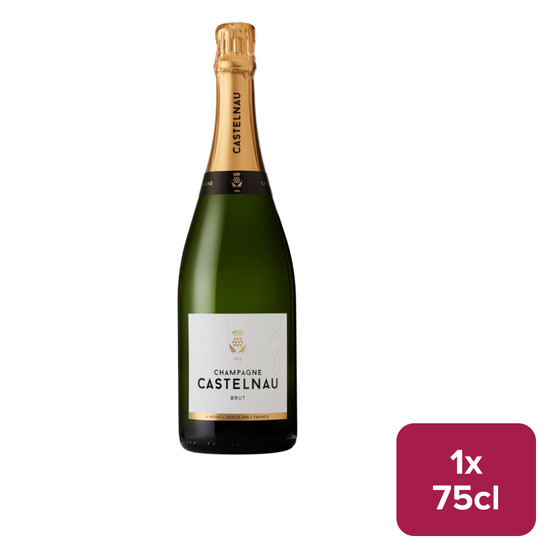 Champagne Castelnau Brut NV 75cl - 49251019_B.jpg