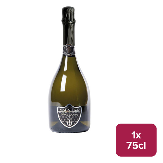 Magnifico Prosecco DOC 75cl - 40180072_B.jpg