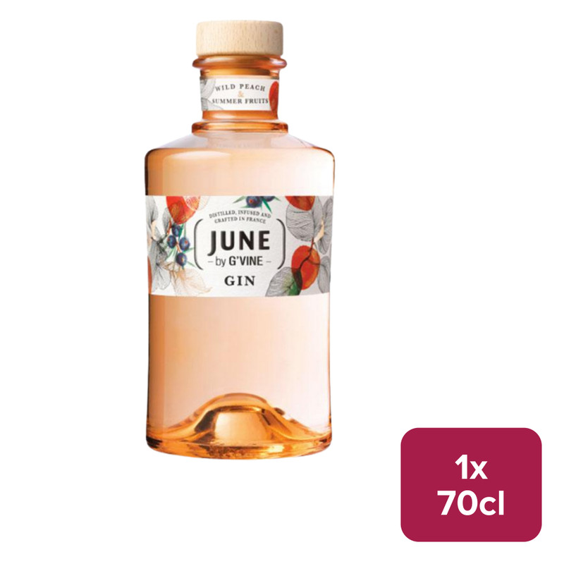 June by G'Vine Wild Peach & Summer Fruits Gin 70cl NRB - 33407651_B.jpg