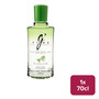 G'Vine Floraison Gin 70cl NRB - 32161047_B.jpg