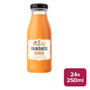 Frobishers Mango Juice 24 x 250ml - 55260011_B.jpg