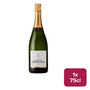 Champagne Castelnau Brut NV 75cl - 49251019_B.jpg