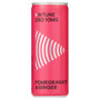 INTUNE Pomegranate & Ginger 12 x 250ml - 36019852_1.jpg