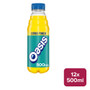 Oasis Citrus Punch 12 x 500ml PET - 55100249_B.jpg