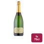 Camel Valley Brut 75cl NRB - 40020020_B.jpg
