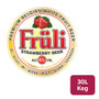 Fruli Strawberry Beer 30L - 17540207_B.jpg