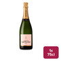 Champagne Castelnau Rose Brut NV 75cl NRB - 49251020_B.jpg