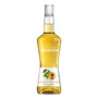 Monin Apricot Brandy Liqueur 70cl NRB - 36061602_4.jpg