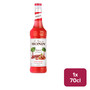 Monin Rhubarb Syrup 70cl NRB - 55220730_B.jpg