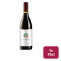 El Dueto Pinot Noir 75cl NRB - 48746514_B.jpg