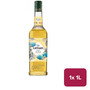 Giffard Agave Syrup 1L NRB - 36070053_B.jpg