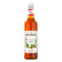 Monin Hot Honey Syrup 1L PET - 36251377_1.jpg