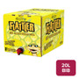 Flattler Pineapple Cyder 20L BIB - 19102034_B.jpg