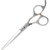 Diane Aspen Barber Shear 6.5" Righty