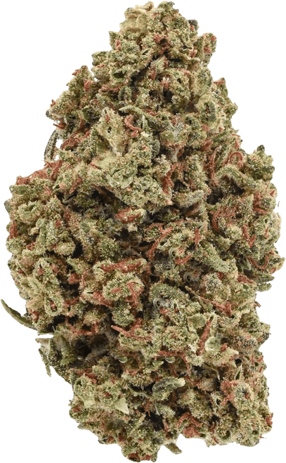 Tropical Tempest - High CBD