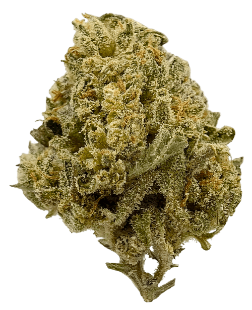 White Rhino - High THCa