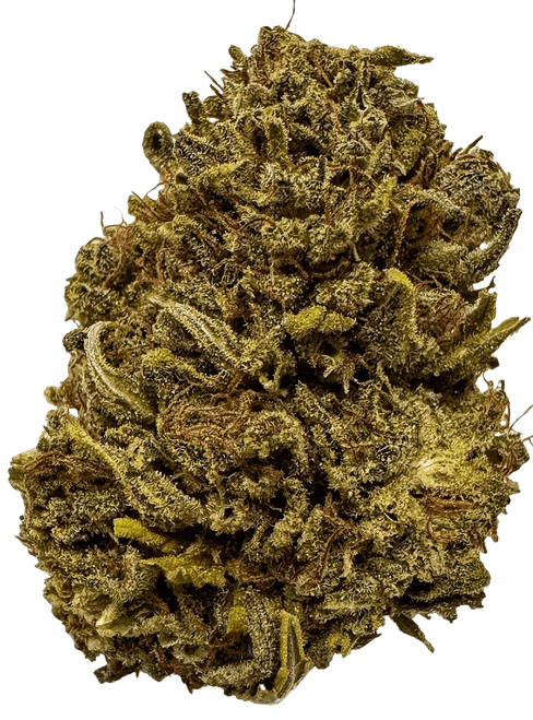 Lifter - High CBD
