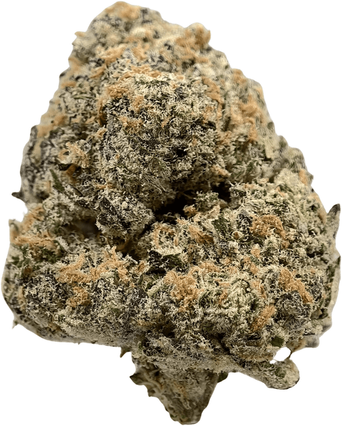 Golden Goat - High THCa