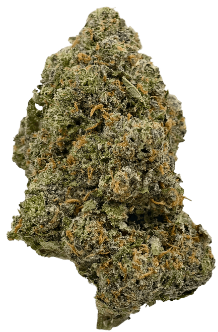 Banana Sherbet - High THCa