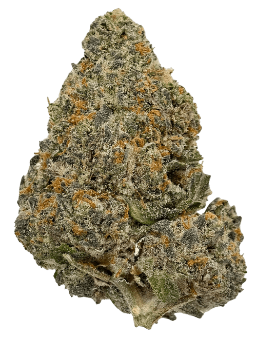 Motorhead - High THCa