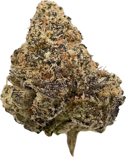 Baja Blasteroids - High THCa