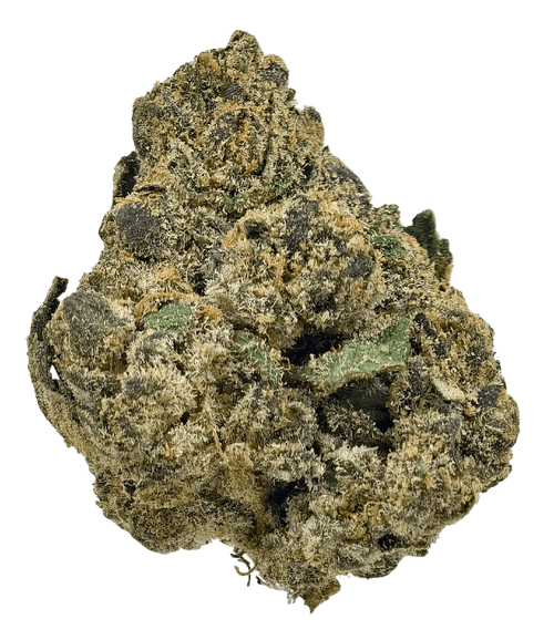 Vice City Runtz - High THCa