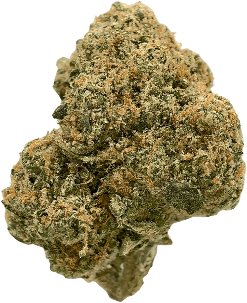 Jack Herer - High THCa