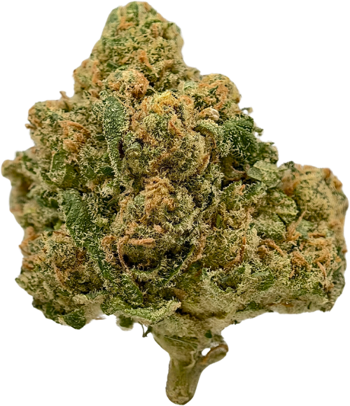 Durban Poison - High THCa