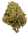 Sharpie - High THCa