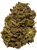 Lifter - High CBD