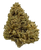 Lemon Octane - High CBD