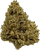 Lemon Octane - High CBD - Image 2 | Emerald Medicine Company