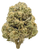 Strawberry Haze - High THCa
