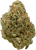 Apple MAC - High THCa