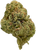 Lemon Freeze - High THCa