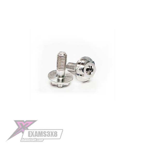 Exalt "Surelock" Titanium 2 in 1 Motor Screw Kit (2) 8mm length (EXAMS3X8)