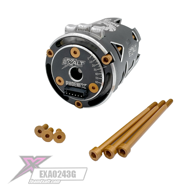 Aluminum Motor Screw Kit- Mod/Outlaw-Gold (EXA0243G)