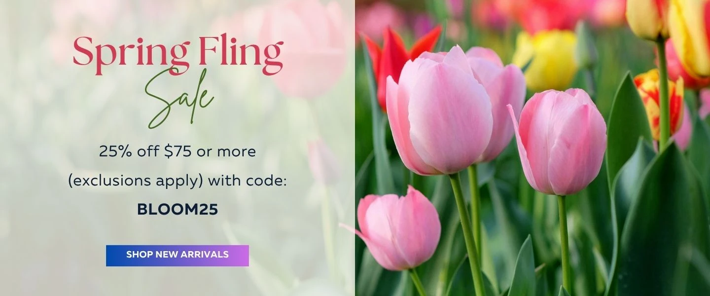 Spring Fling Sale 25% off $75+ with code BLOOM25