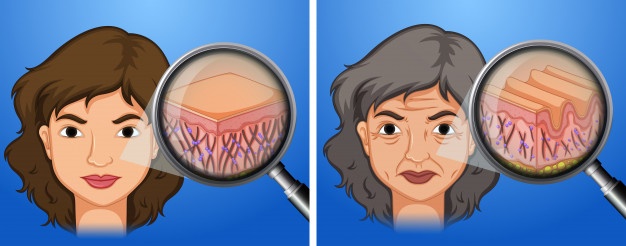 women's Skin Aging Issue Visible Clearly