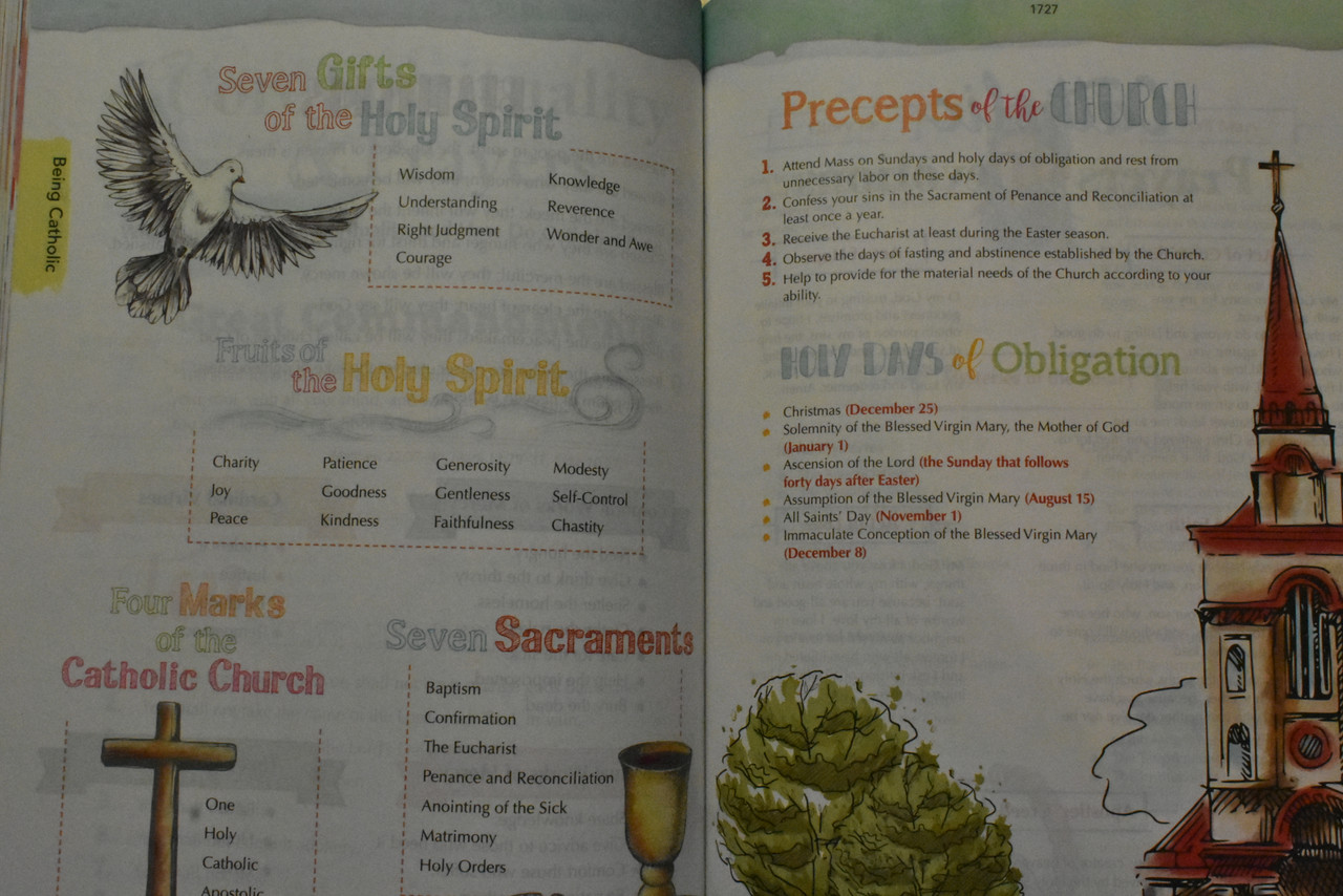 The Catholic Youth Bible 4th Edition New American Bible Revised