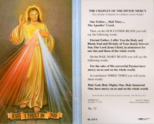 Chaplet of Divine Mercy Laminated Holy Card