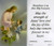 Remembrance of First Communion Boy Laminated Holy Card