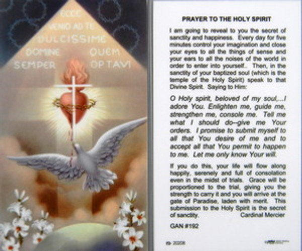 Prayer to the Holy Spirit
Laminated Holy Card