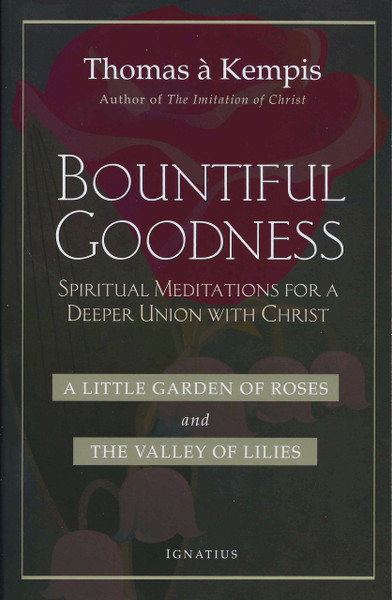 Bountiful Goodness: Spiritual Meditations For A Deeper Union With Christ