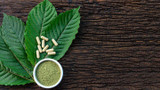 Kratom Products: A Comprehensive Guide to Varieties, Uses, and Safety