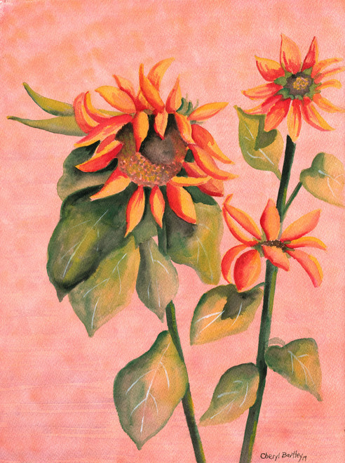 Coral Orange Yellow Sunflower Original Watercolor Painting Coral Orange Yellow Sunflower Original Watercolor Painting